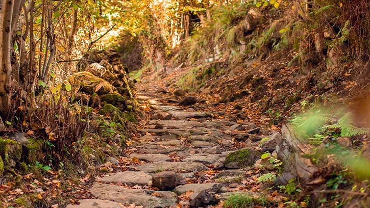 Smart World Sky Arc Apartments